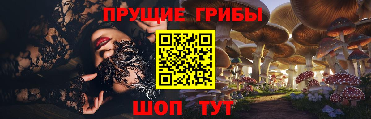 Знаменск  закладки  Псилоцибиновые грибы Magic Shrooms  Вход с VPN  Галлюциногенные грибы Psilocybe 
