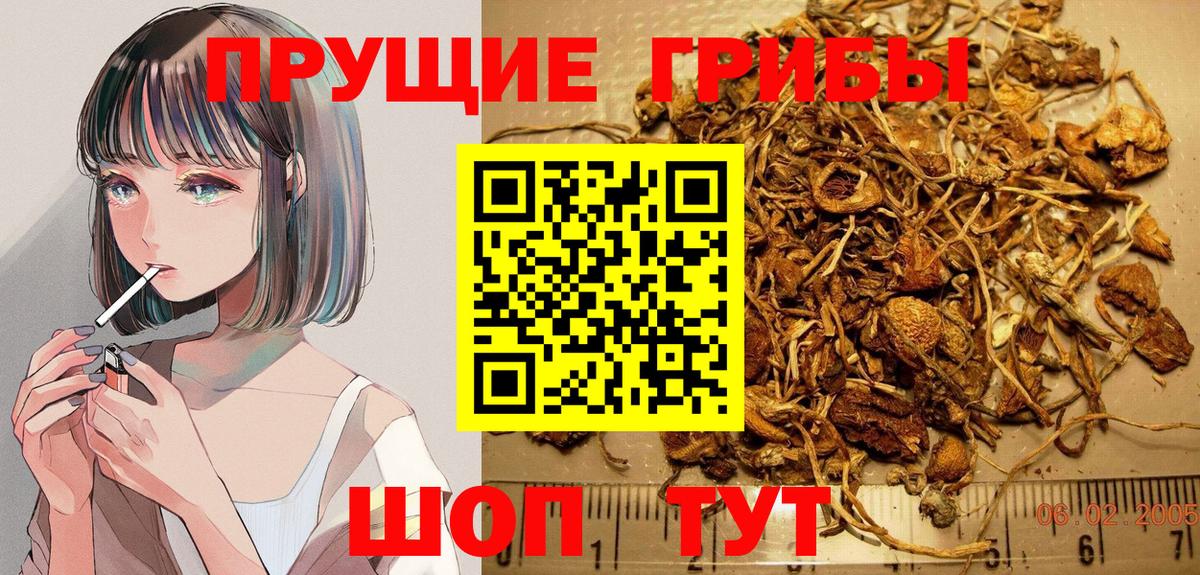 Галлюциногенные грибы ЛСД Знаменск